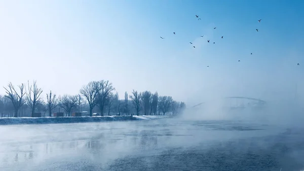 Fagyasztott folyó télen — Stock Fotó